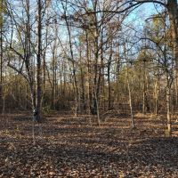 Gum Creek Hunting images 6