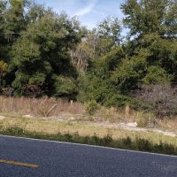 This 30 acre MOL property is the perfect canvas for you to create your very own paradise  Krause images 6