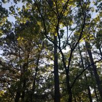 McGee Creek Property