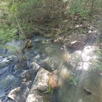 McGee Creek Property images 2