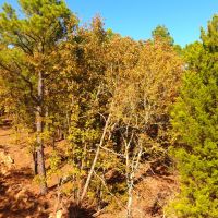 McGee Creek Property images 5