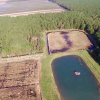 Hunting property in Hyde County  NC Residential Timber images 3