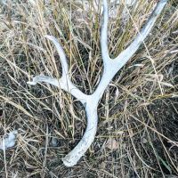 Mt Pisgah Lookout Retreat images 5