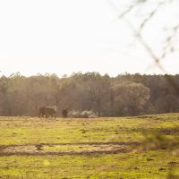 1101 Acres &nbsp; Lost Creek Ranch images 2