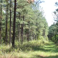 Recreational Investment South of Atlanta