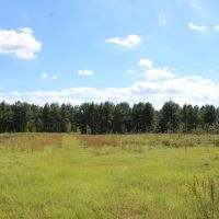 Recreational Investment South of Atlanta images 2