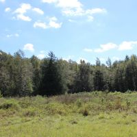 Recreational Investment South of Atlanta images 3