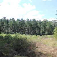 Recreational Investment South of Atlanta images 4