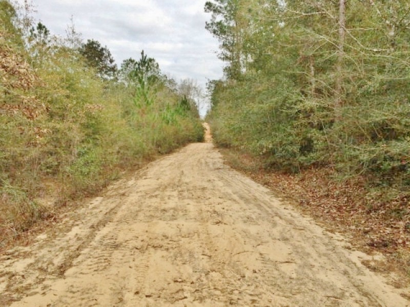Land for Sale Harrison County Ms featured image