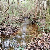 Land for Sale Harrison County Ms images 2