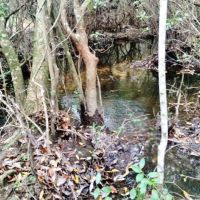 Land for Sale Harrison County Ms images 3