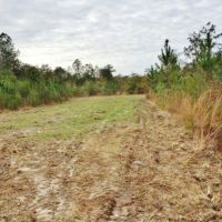 Land for Sale Harrison County Ms images 4