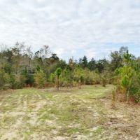 Land for Sale Harrison County Ms images 5