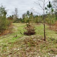 Land for Sale Harrison County Ms images 6