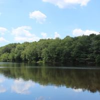 5 Lakes Totaling 33  Acres
