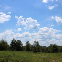 5 Lakes Totaling 33  Acres images 2