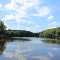 5 Lakes Totaling 33  Acres images 3