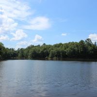 5 Lakes Totaling 33  Acres images 5