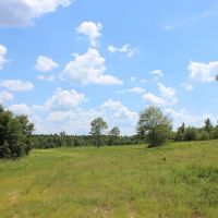 5 Lakes Totaling 33  Acres images 6