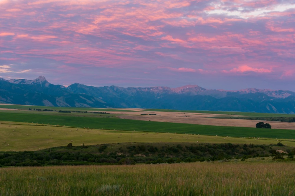 Lot 9A at Hamilton Sporting Reserve featured image
