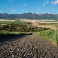 Lot 9A at Hamilton Sporting Reserve images 6