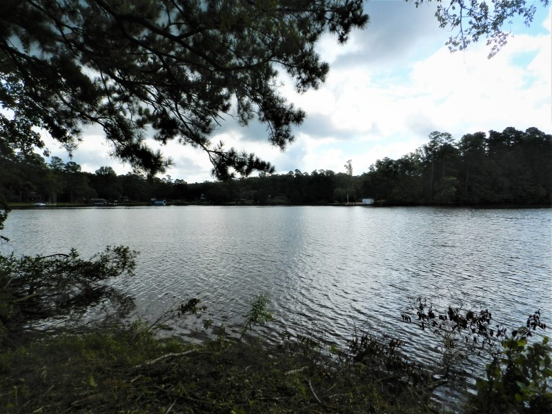 30.5 AC Lake Sinclair Farm featured image