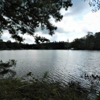 30.5 AC Lake Sinclair Farm