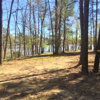 30.5 AC Lake Sinclair Farm images 3