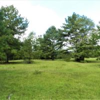 30.5 AC Lake Sinclair Farm images 4