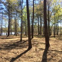 30.5 AC Lake Sinclair Farm images 5