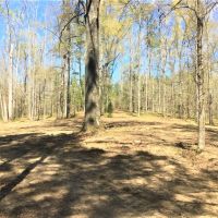 30.5 AC Lake Sinclair Farm images 6