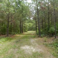 Gum Creek Preserve images 2