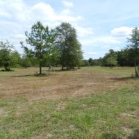 Gum Creek Preserve images 3