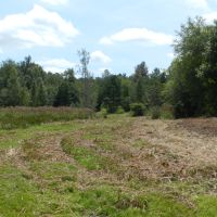 Gum Creek Preserve images 5