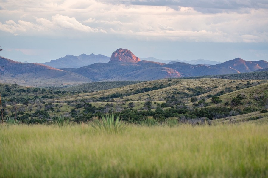 Bar Boot Ranch featured image