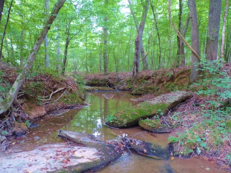 North Greene Hunting Retreat featured image