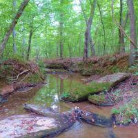 North Greene Hunting Retreat