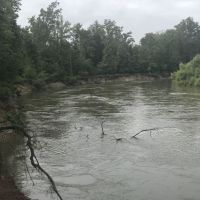 Ocmulgee River Frontage images 3