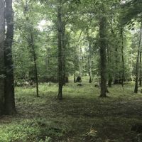 Ocmulgee River Frontage images 6