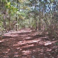 Nell Lambert Rd. images 4