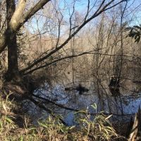 Timber  Hunting &nbsp;  Creek images 3