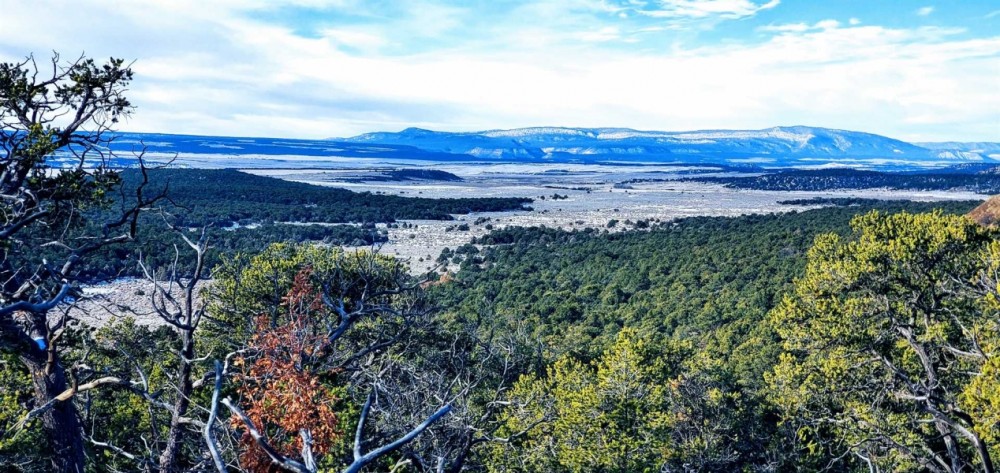 Los Pinones Ranch featured image