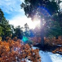 Los Pinones Ranch images 3