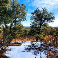 Los Pinones Ranch images 5