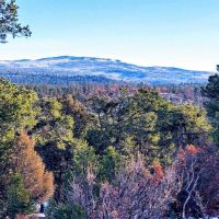 Los Pinones Ranch images 6
