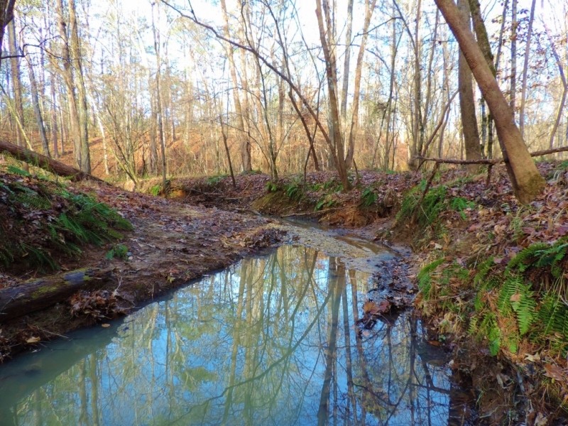 REDUCED &nbsp; 1 995 &nbsp; Acre - Walker Rd. Tract featured image