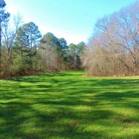 REDUCED &nbsp; 1 995 &nbsp; Acre - Walker Rd. Tract images 2