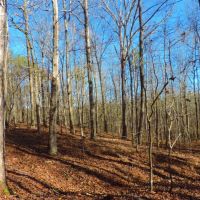 REDUCED &nbsp; 1 995 &nbsp; Acre - Walker Rd. Tract images 3