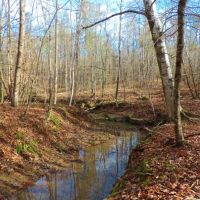REDUCED &nbsp; 1 995 &nbsp; Acre - Walker Rd. Tract images 4
