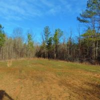 REDUCED &nbsp; 1 995 &nbsp; Acre - Walker Rd. Tract images 5